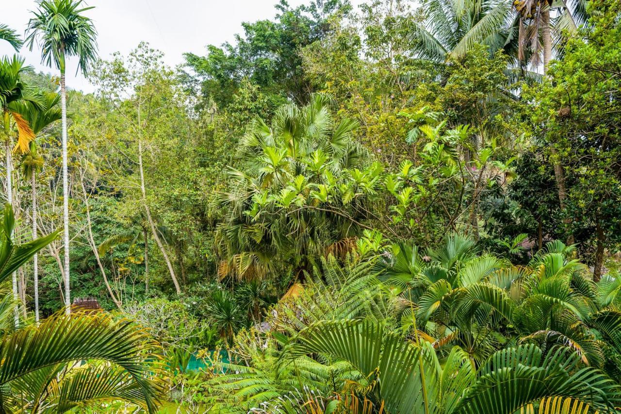 Villa Beji Indah Ubud Eksteriør billede
